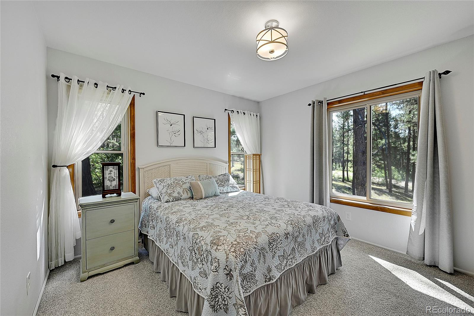 MLS Image #20 for 10445  empire drive,franktown, Colorado