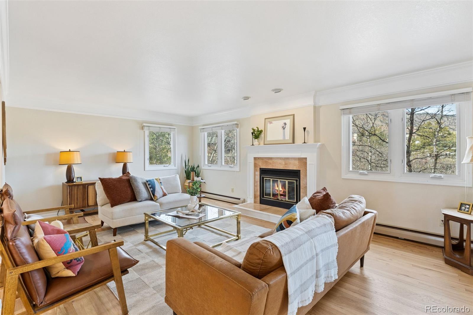 MLS Image #13 for 750  tyco court,colorado springs, Colorado