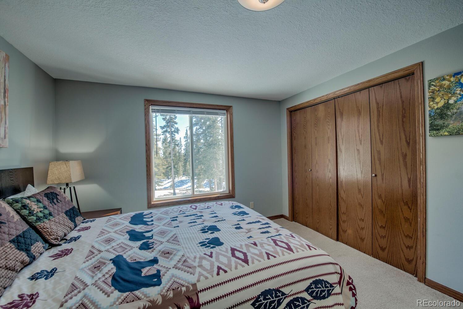 MLS Image #26 for 394  co rd 14a ,fairplay, Colorado