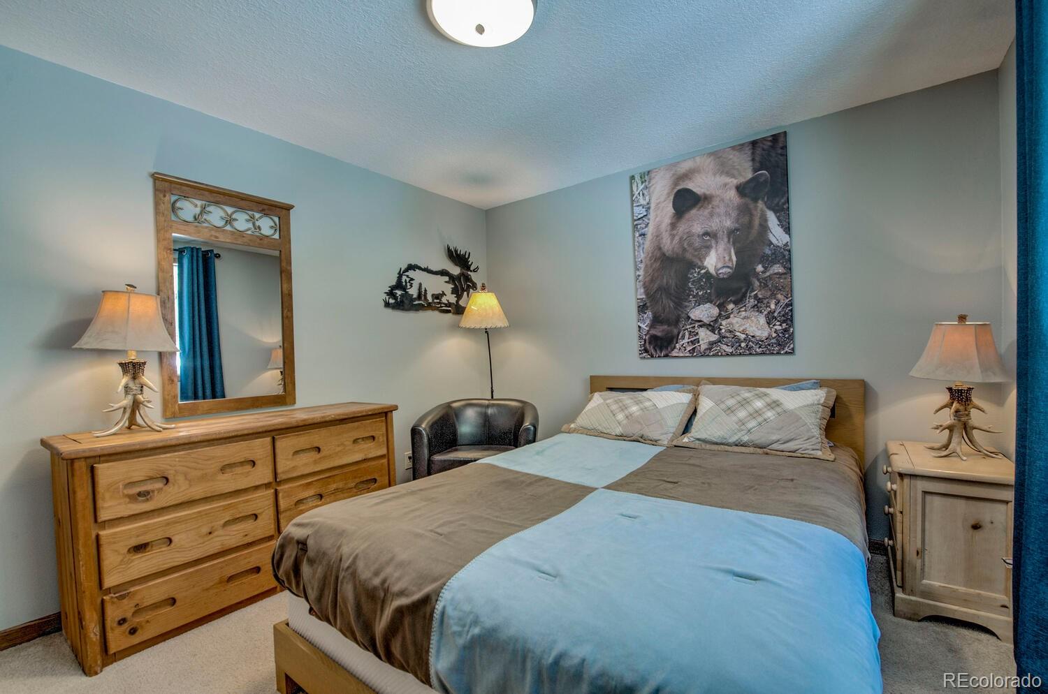 MLS Image #28 for 394  co rd 14a ,fairplay, Colorado