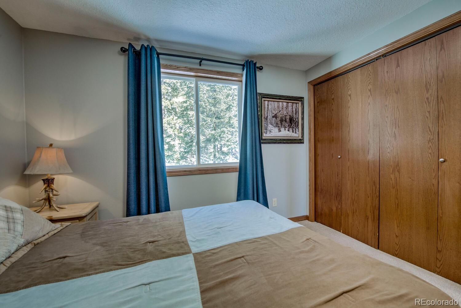 MLS Image #29 for 394  co rd 14a ,fairplay, Colorado