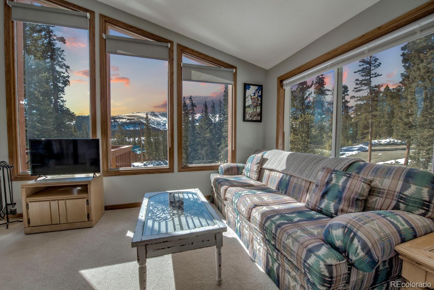 MLS Image #3 for 394  co rd 14a ,fairplay, Colorado