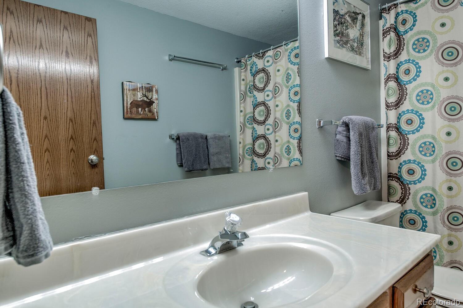 MLS Image #33 for 394  co rd 14a ,fairplay, Colorado