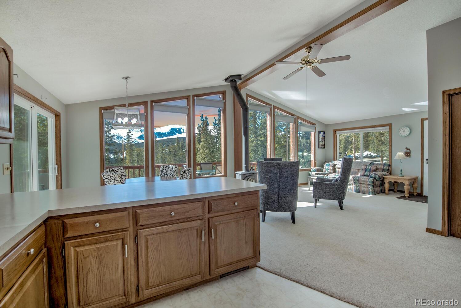 MLS Image #7 for 394  co rd 14a ,fairplay, Colorado