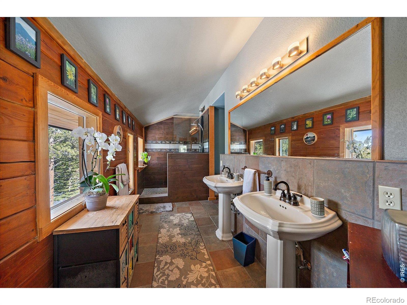 MLS Image #17 for 143  crockett trail,ward, Colorado