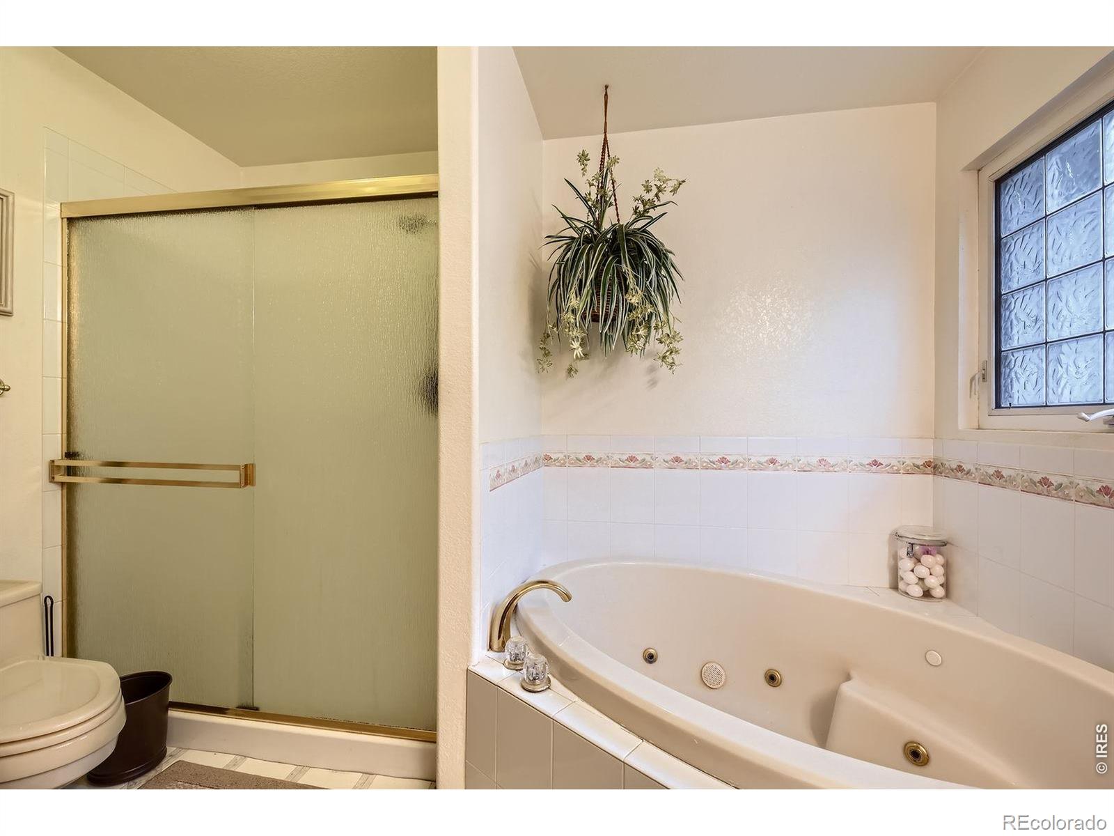 MLS Image #13 for 1121  country acres court,johnstown, Colorado