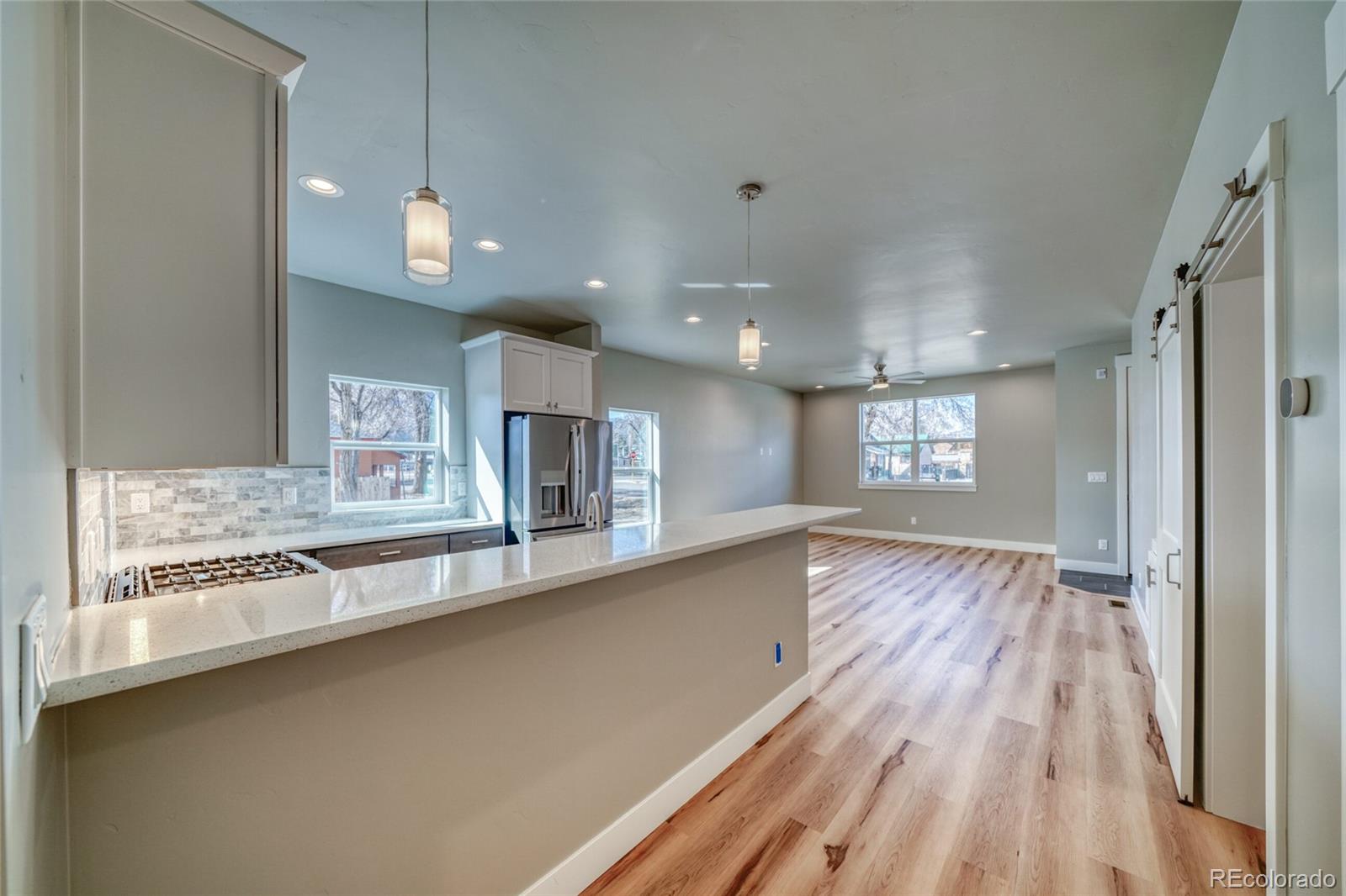 MLS Image #12 for 327  palmer street,salida, Colorado