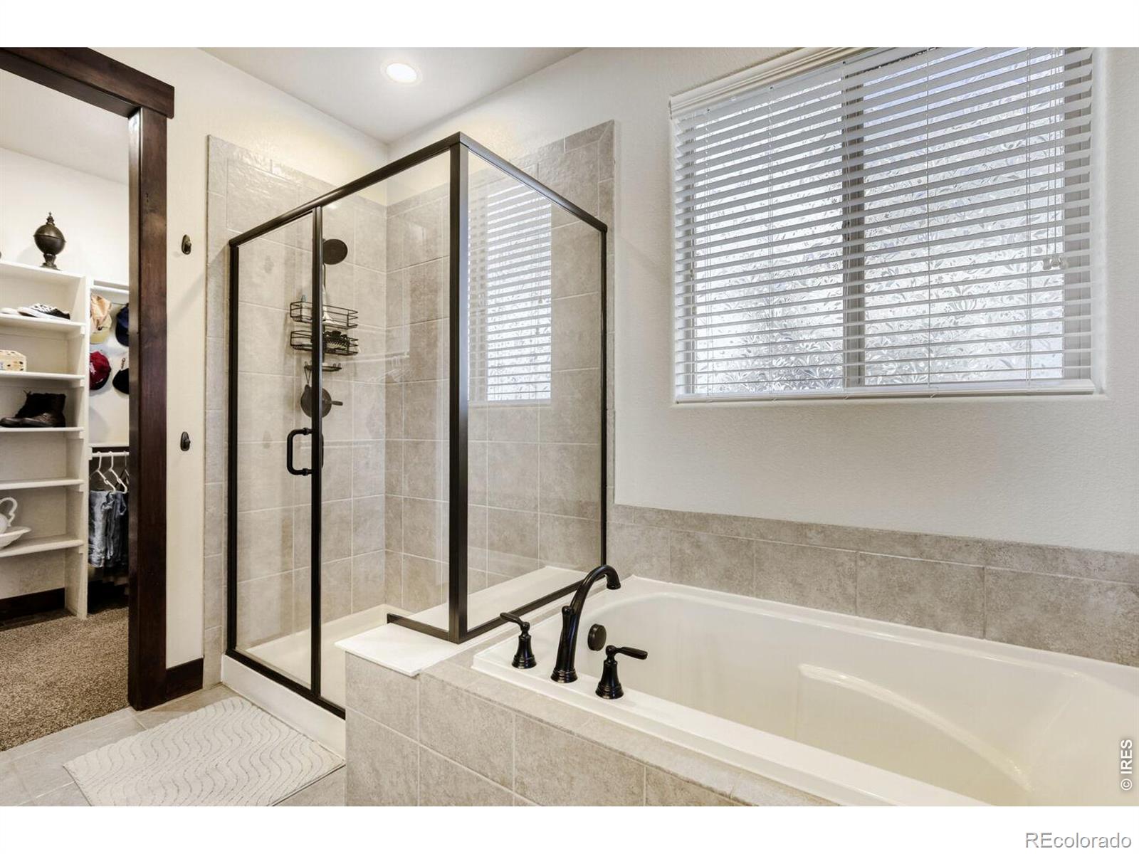 MLS Image #12 for 2009  orchard bloom drive,windsor, Colorado