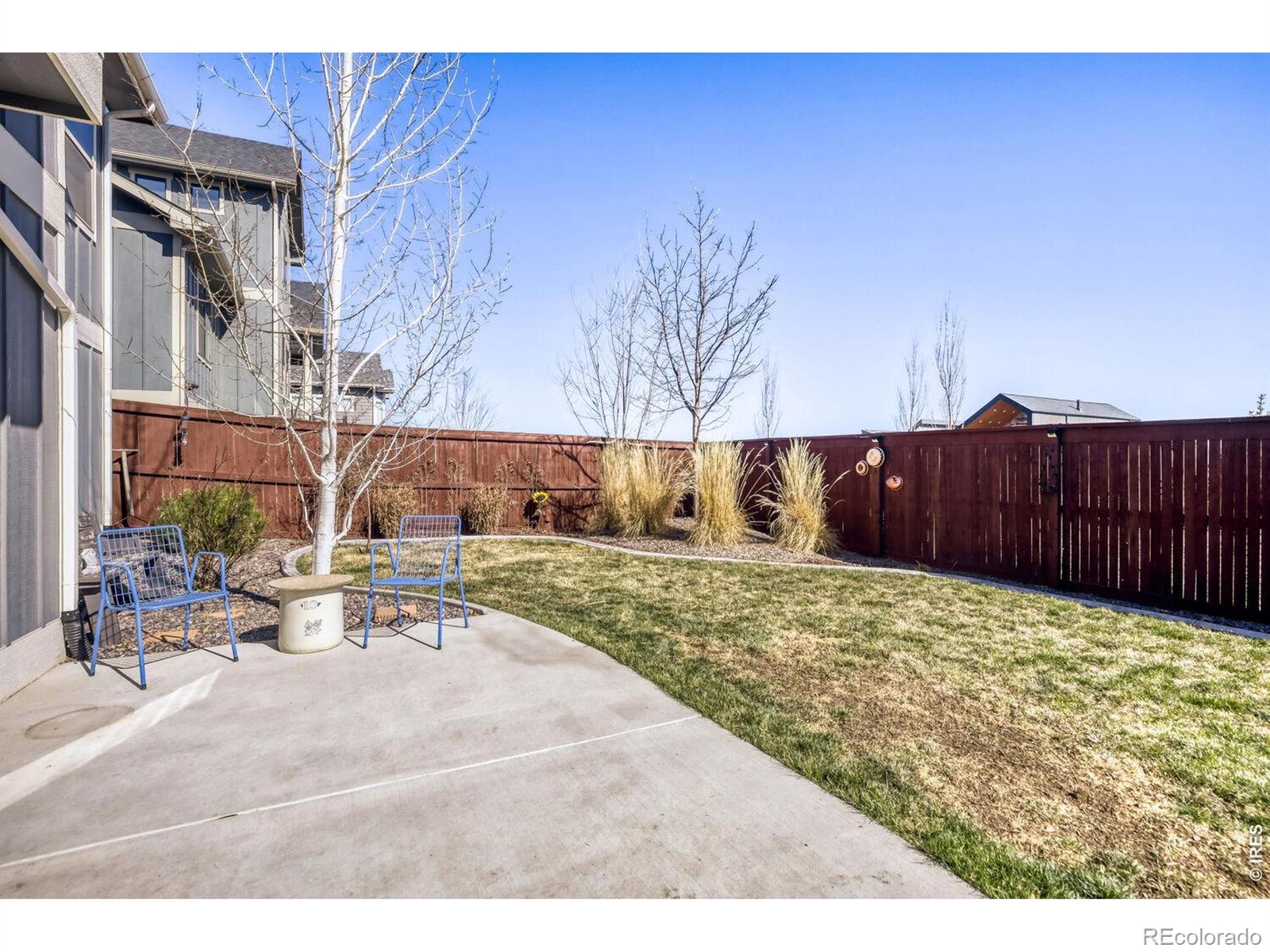 MLS Image #27 for 2009  orchard bloom drive,windsor, Colorado