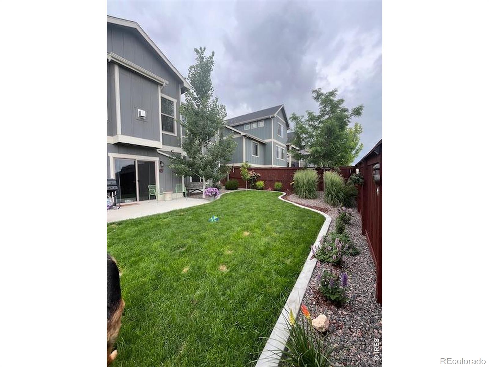 MLS Image #28 for 2009  orchard bloom drive,windsor, Colorado