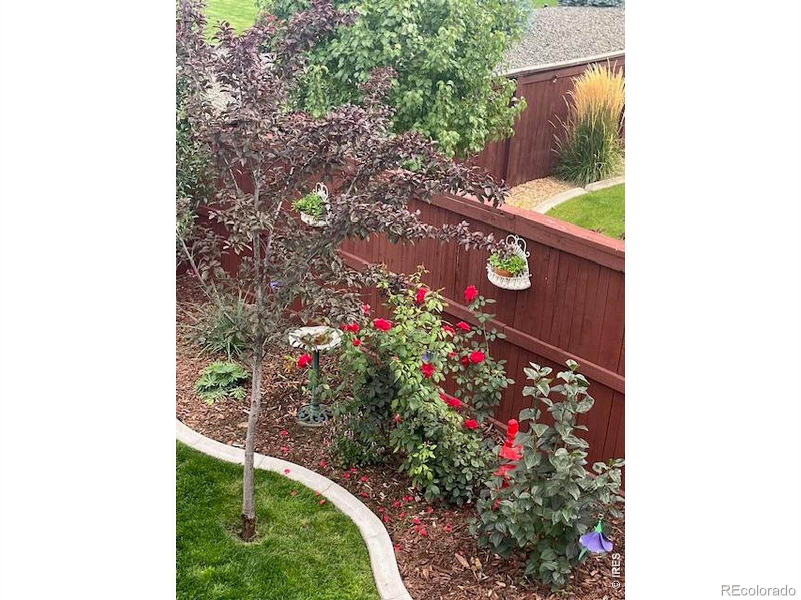 MLS Image #30 for 2009  orchard bloom drive,windsor, Colorado