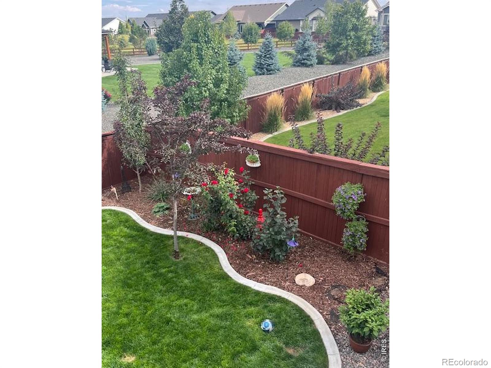 MLS Image #31 for 2009  orchard bloom drive,windsor, Colorado