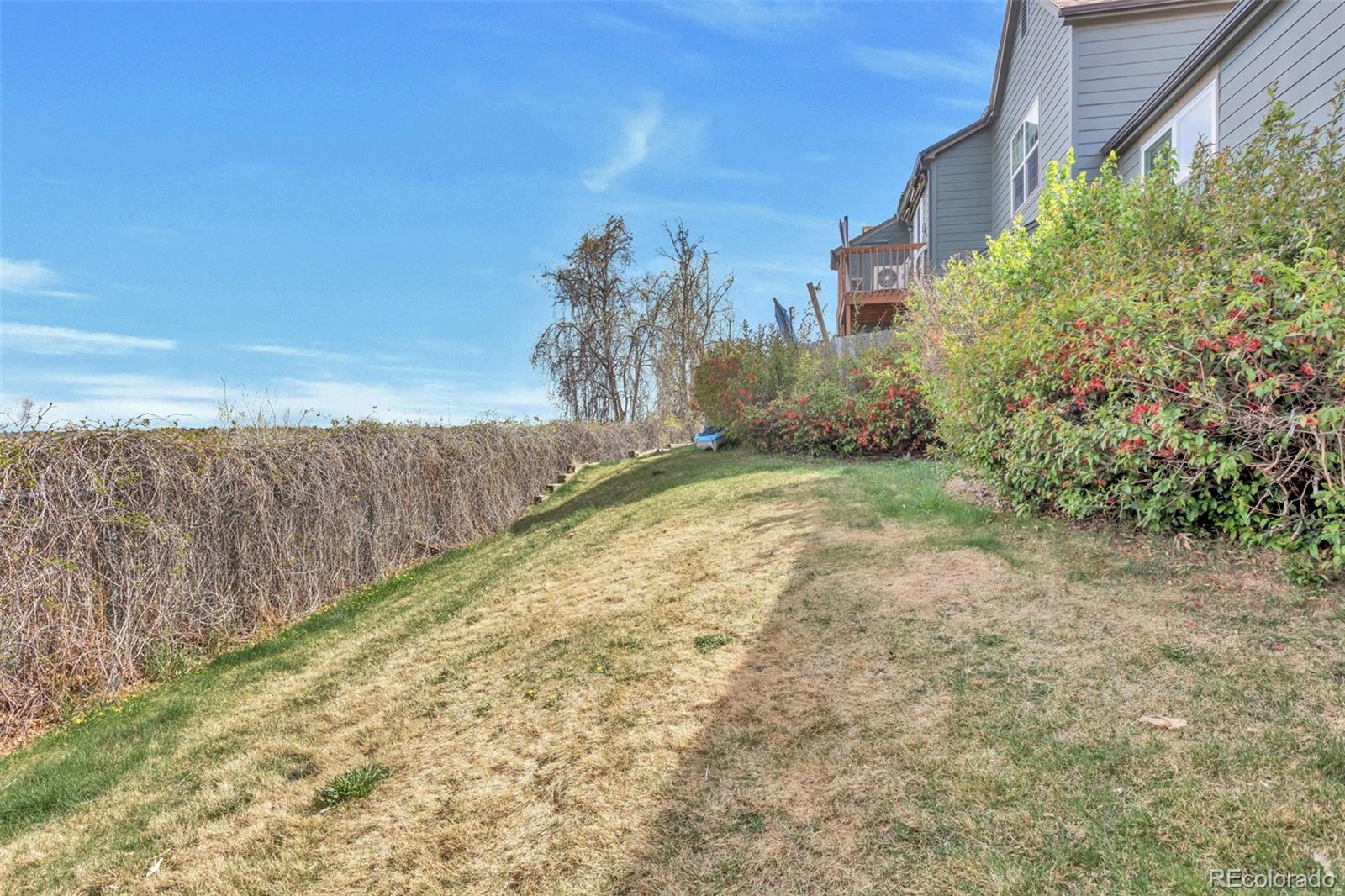MLS Image #20 for 17477 e rice circle,aurora, Colorado