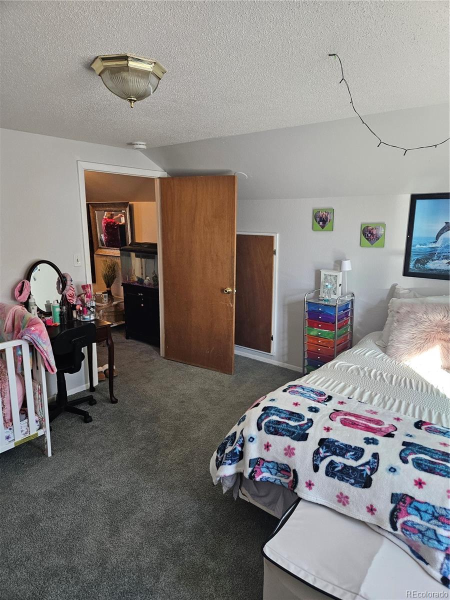 MLS Image #6 for 647  denver avenue,de beque, Colorado