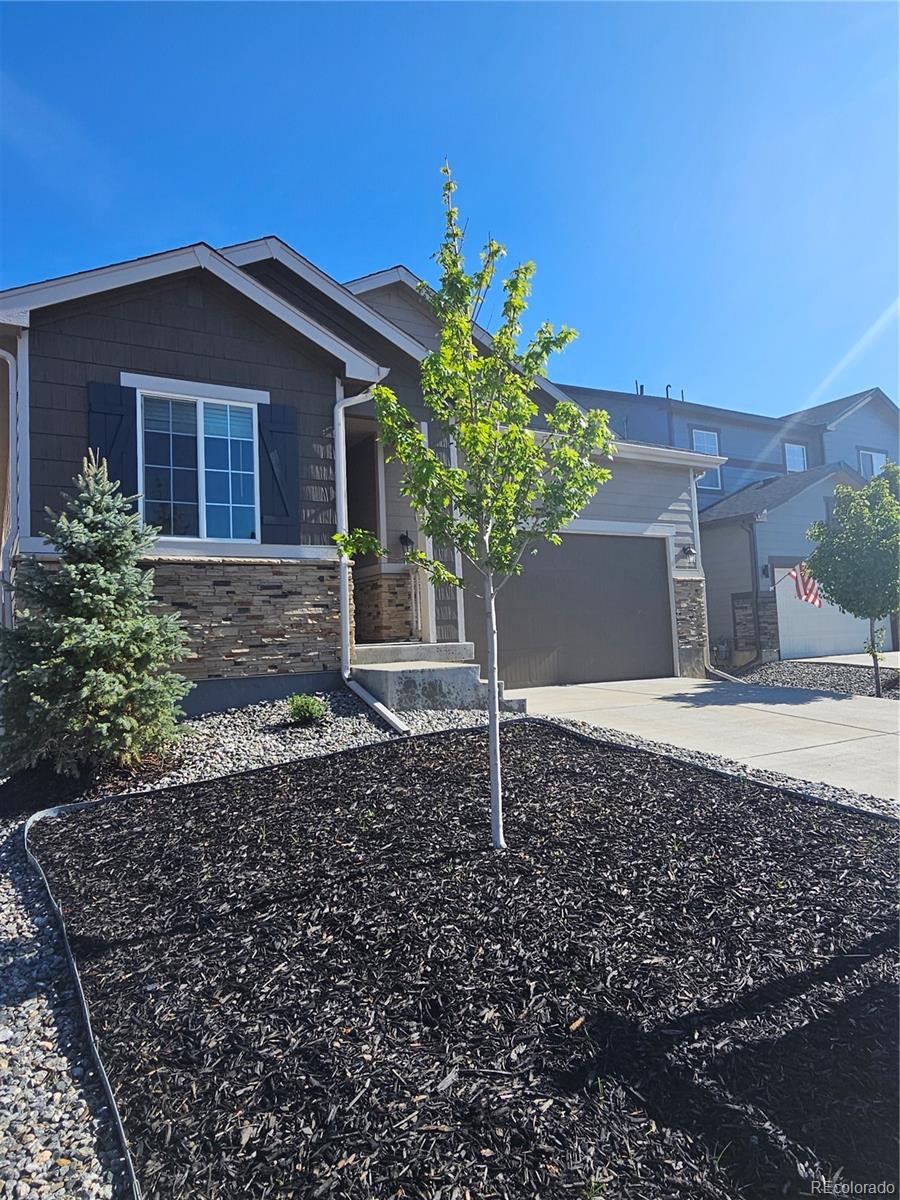 MLS Image #2 for 63 n edge cliff street,castle rock, Colorado