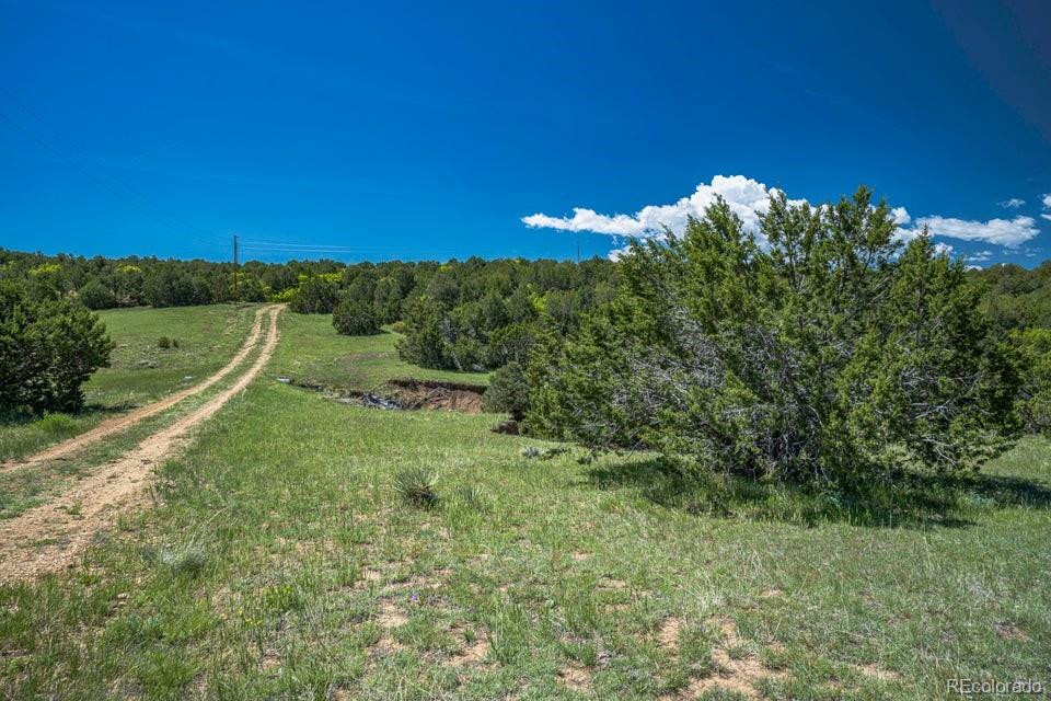MLS Image #36 for 324  chaps court,walsenburg, Colorado