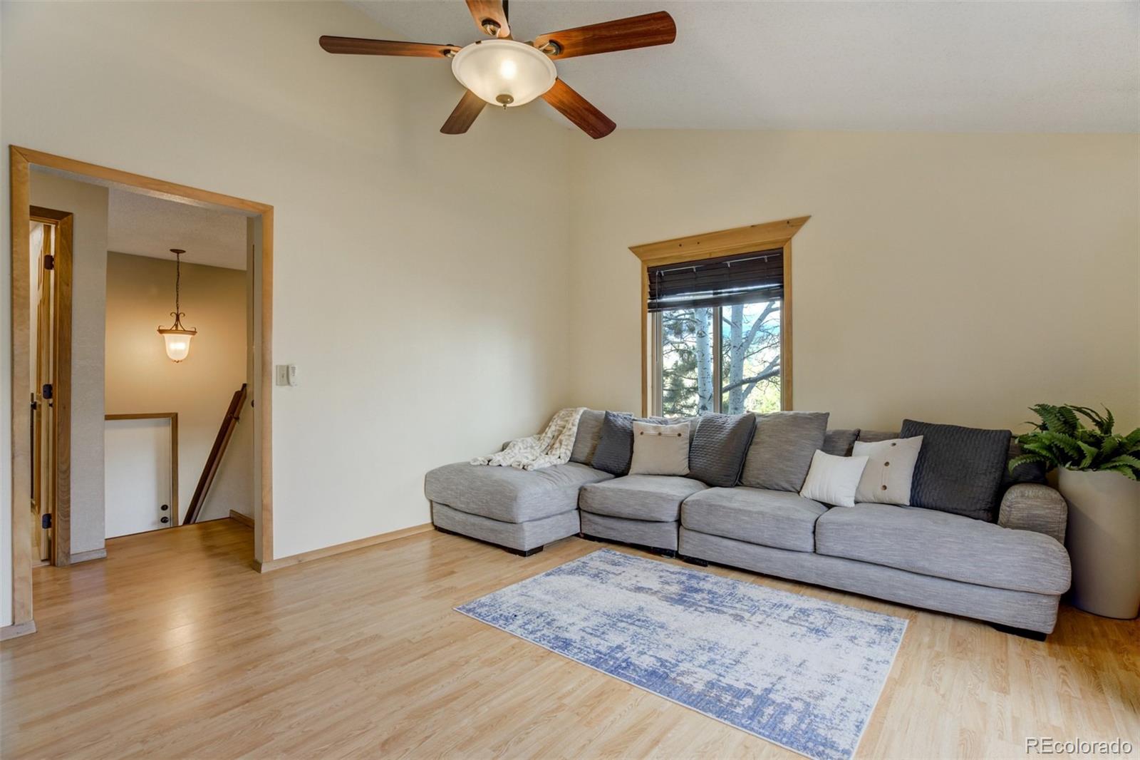 MLS Image #4 for 1011 w south avenue,woodland park, Colorado