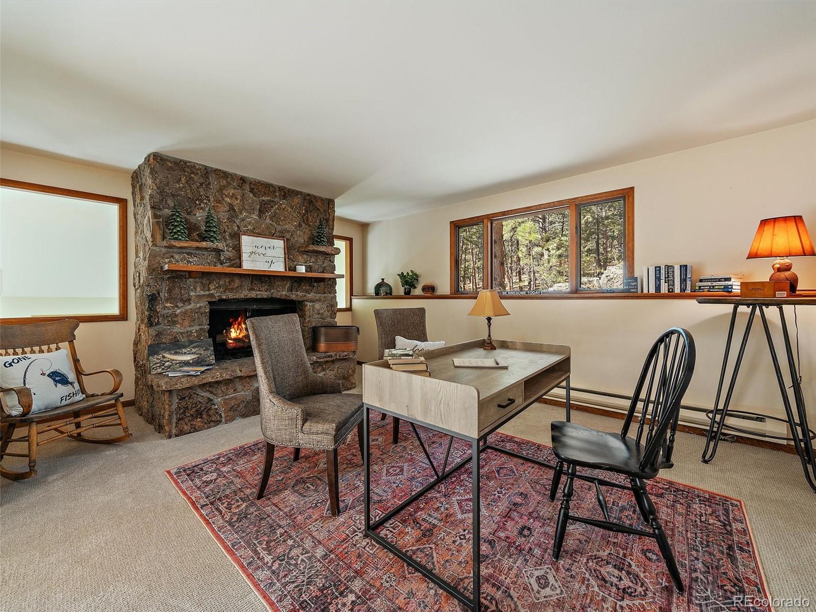MLS Image #13 for 33913  upper bear creek road,evergreen, Colorado