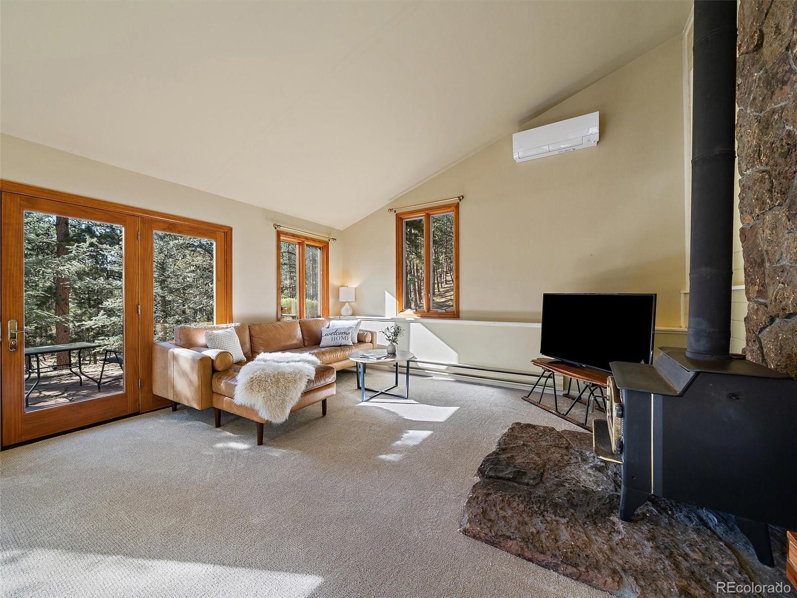 MLS Image #16 for 33913  upper bear creek road,evergreen, Colorado