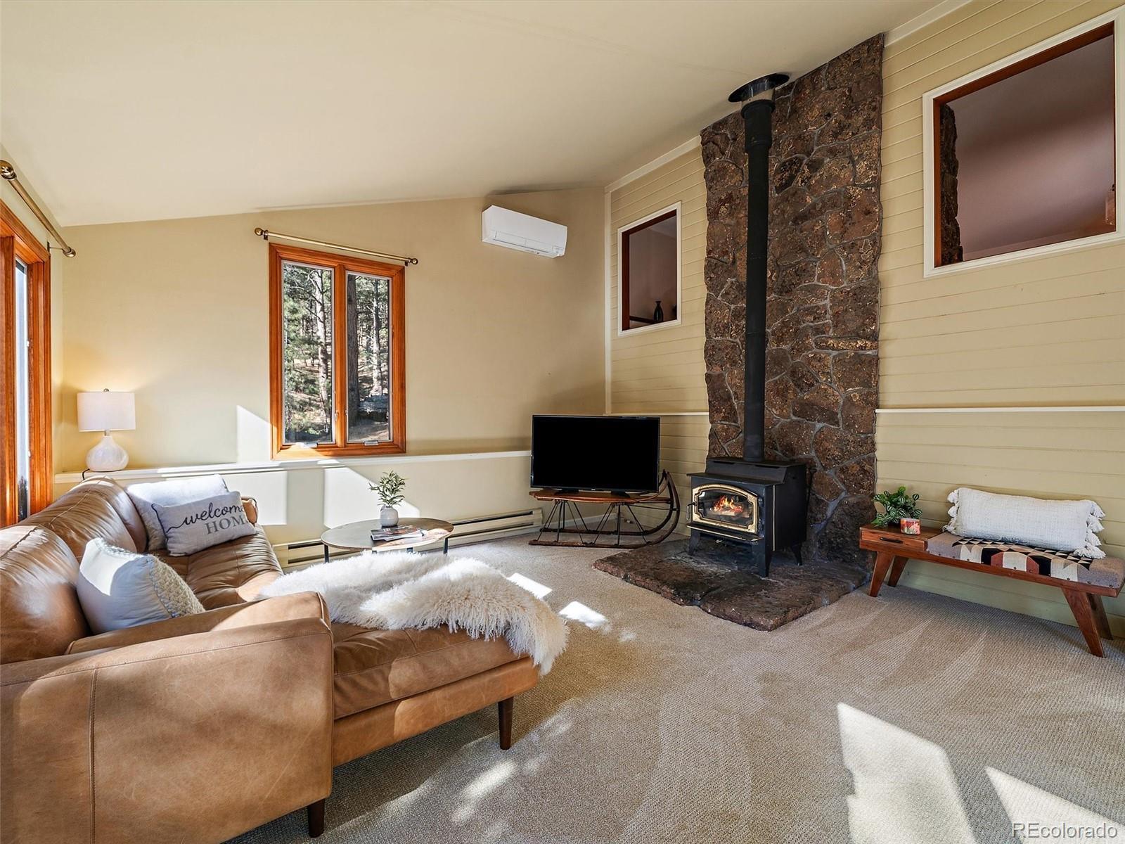MLS Image #17 for 33913  upper bear creek road,evergreen, Colorado