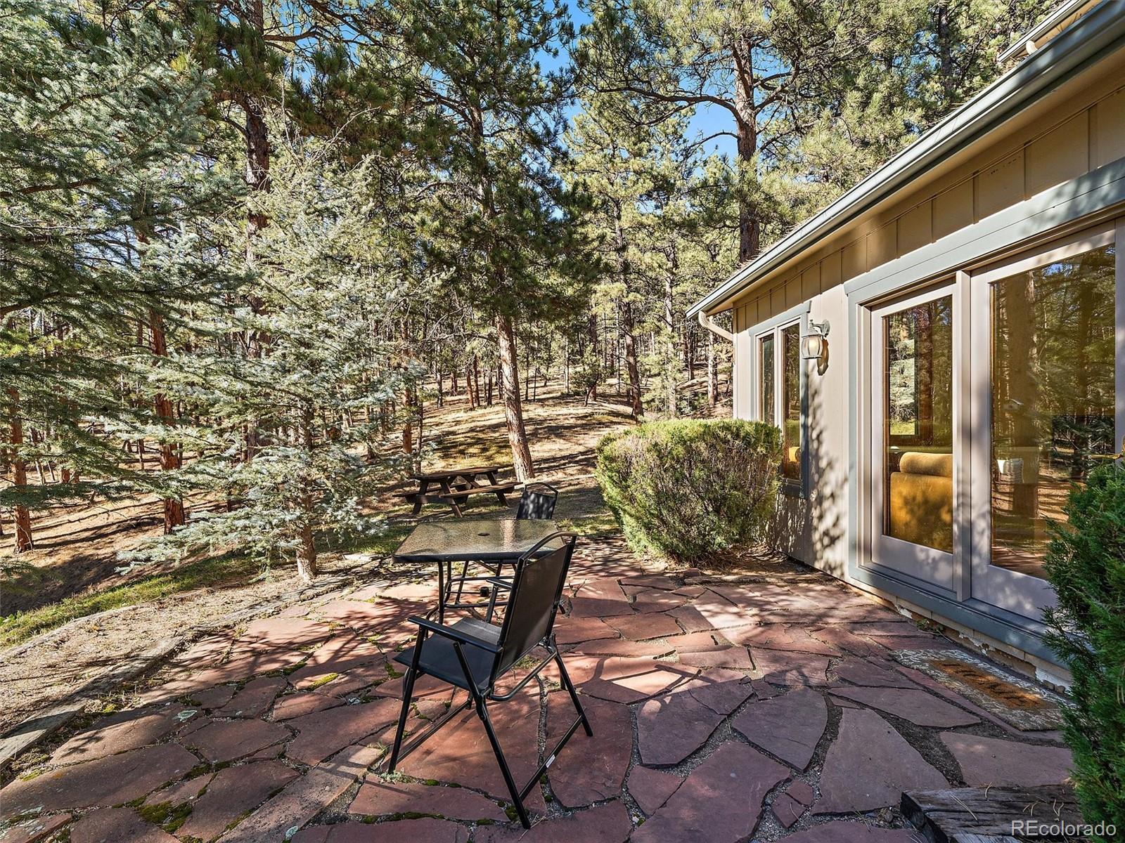 MLS Image #19 for 33913  upper bear creek road,evergreen, Colorado
