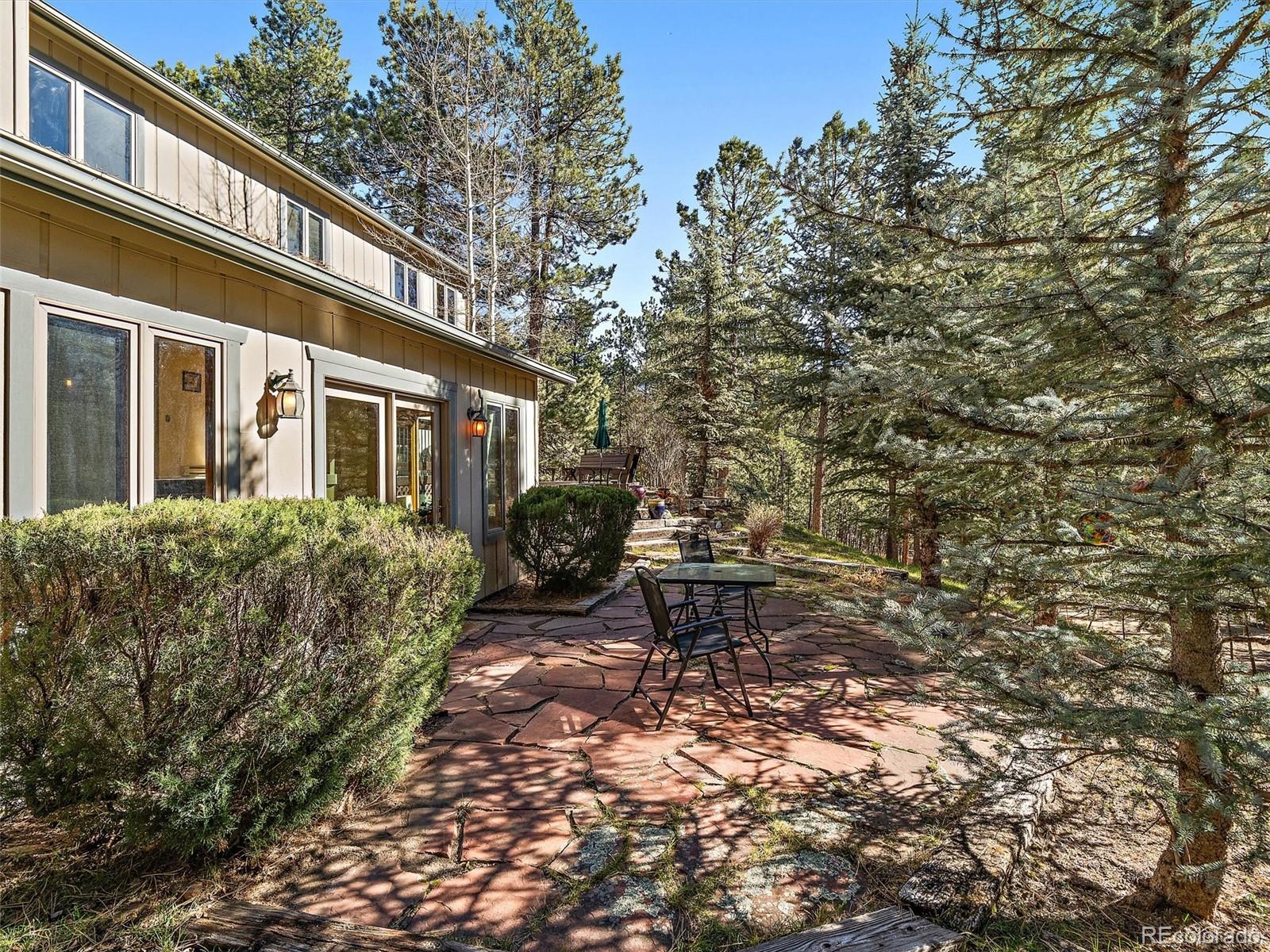 MLS Image #20 for 33913  upper bear creek road,evergreen, Colorado