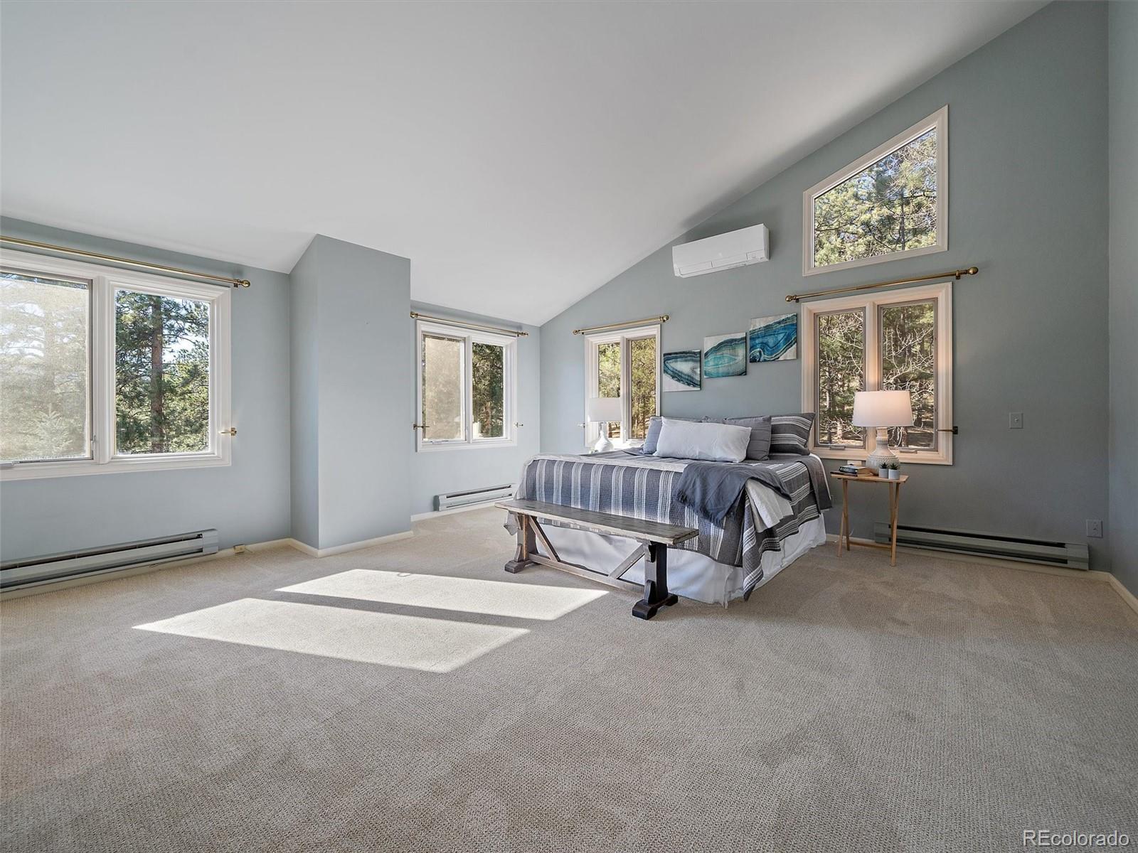 MLS Image #21 for 33913  upper bear creek road,evergreen, Colorado