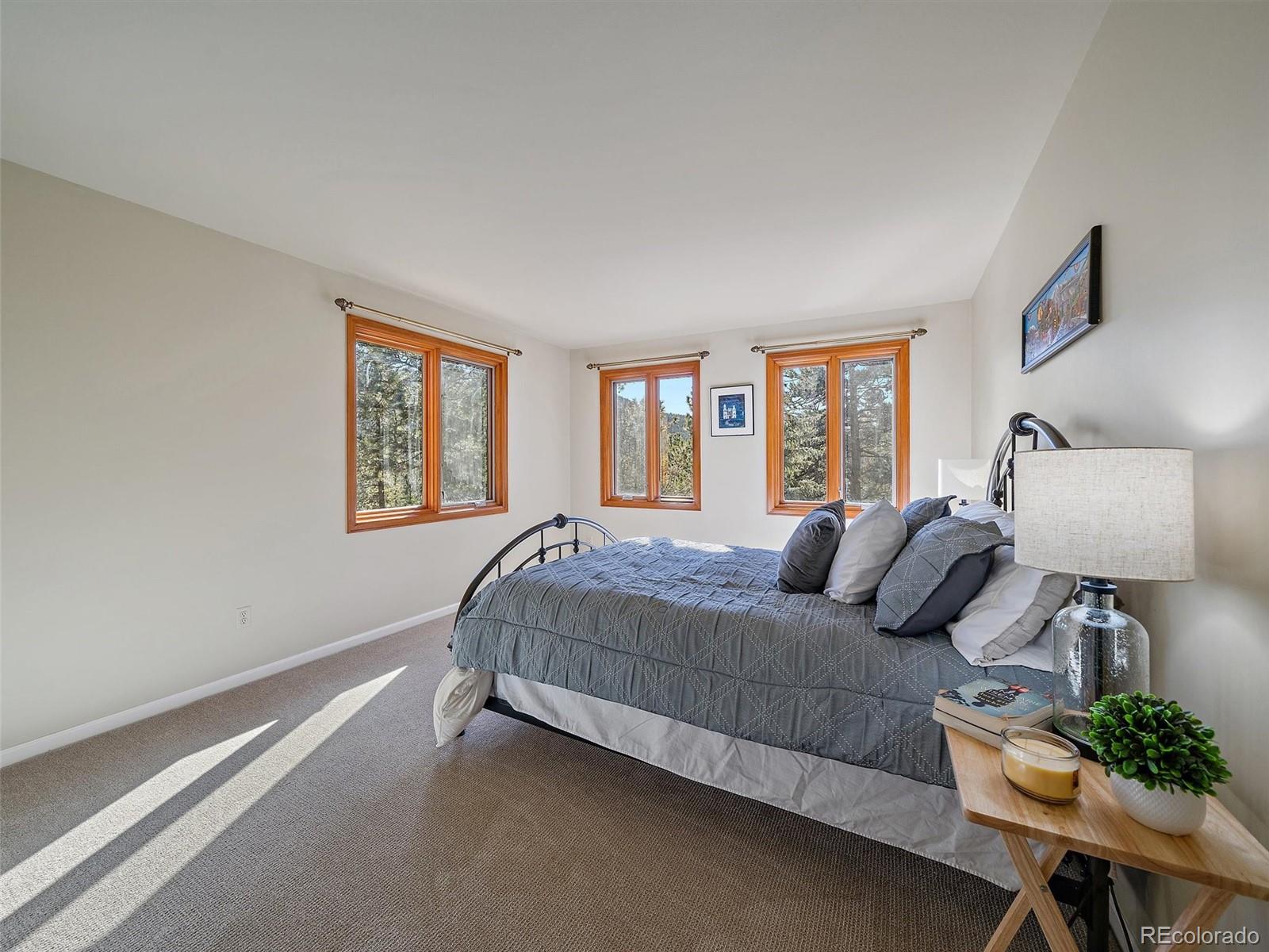 MLS Image #25 for 33913  upper bear creek road,evergreen, Colorado