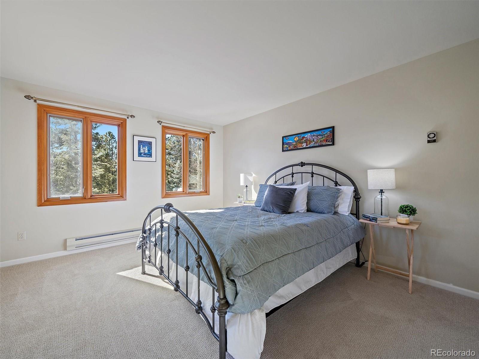 MLS Image #26 for 33913  upper bear creek road,evergreen, Colorado