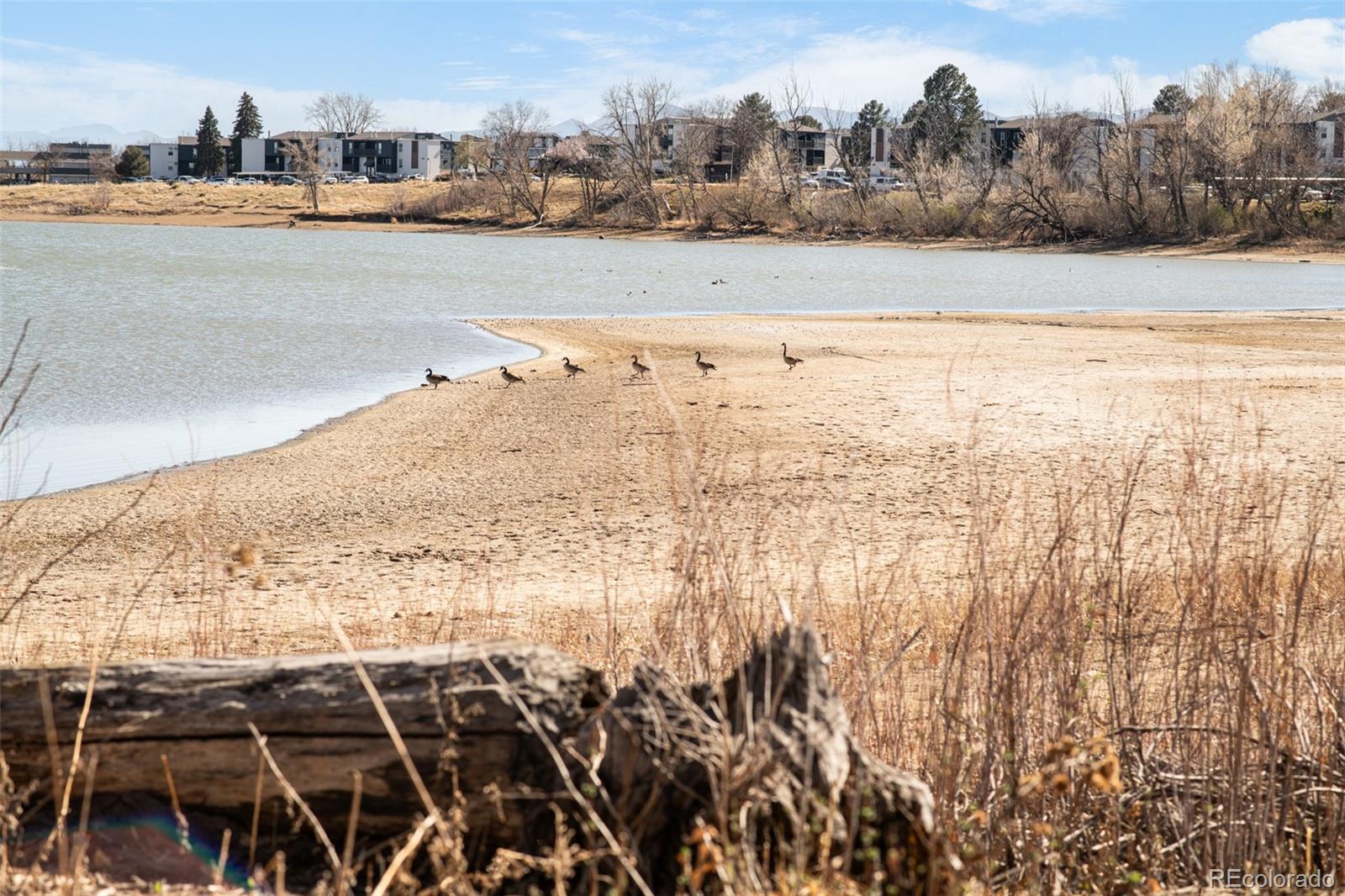 MLS Image #31 for 10432 w florida avenue,lakewood, Colorado