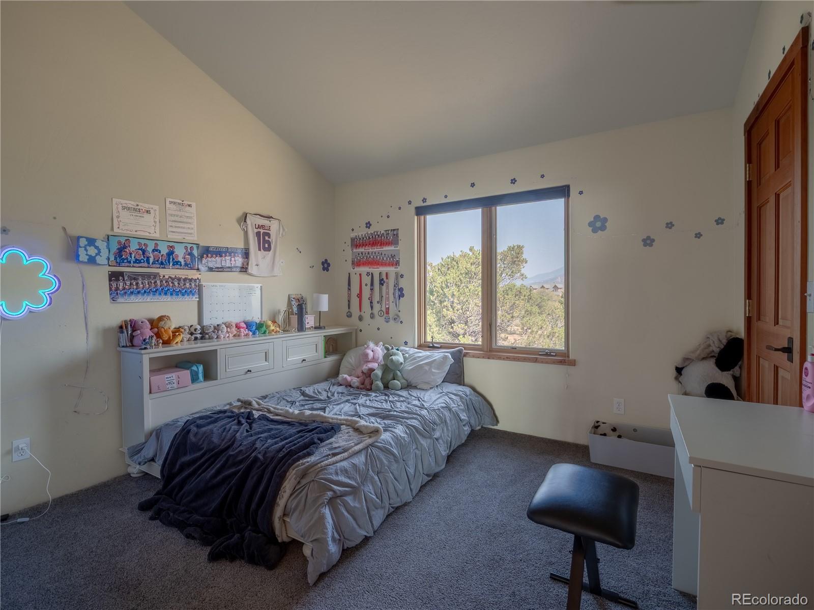 MLS Image #26 for 33515  mt harvard circle,buena vista, Colorado