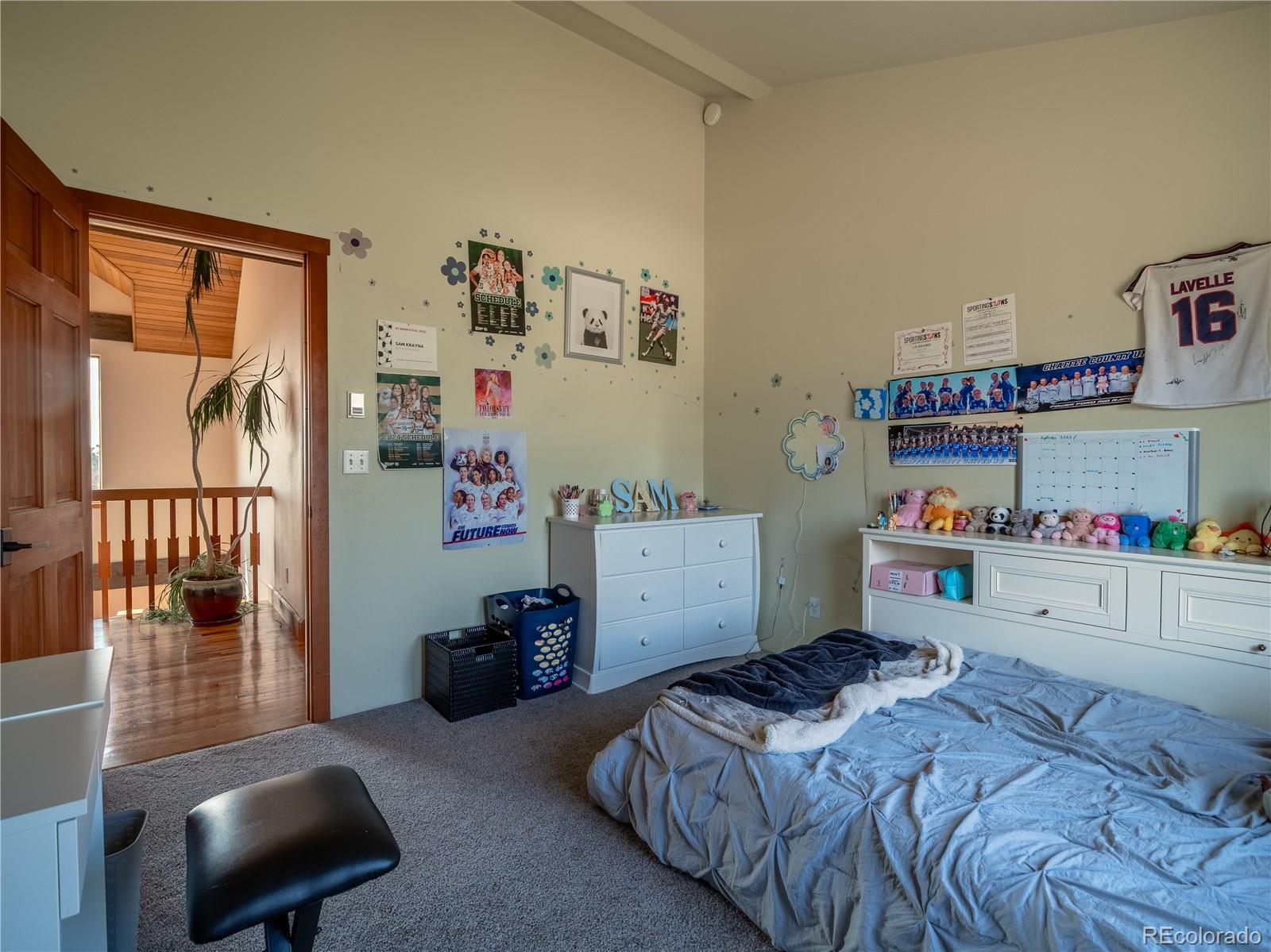 MLS Image #27 for 33515  mt harvard circle,buena vista, Colorado