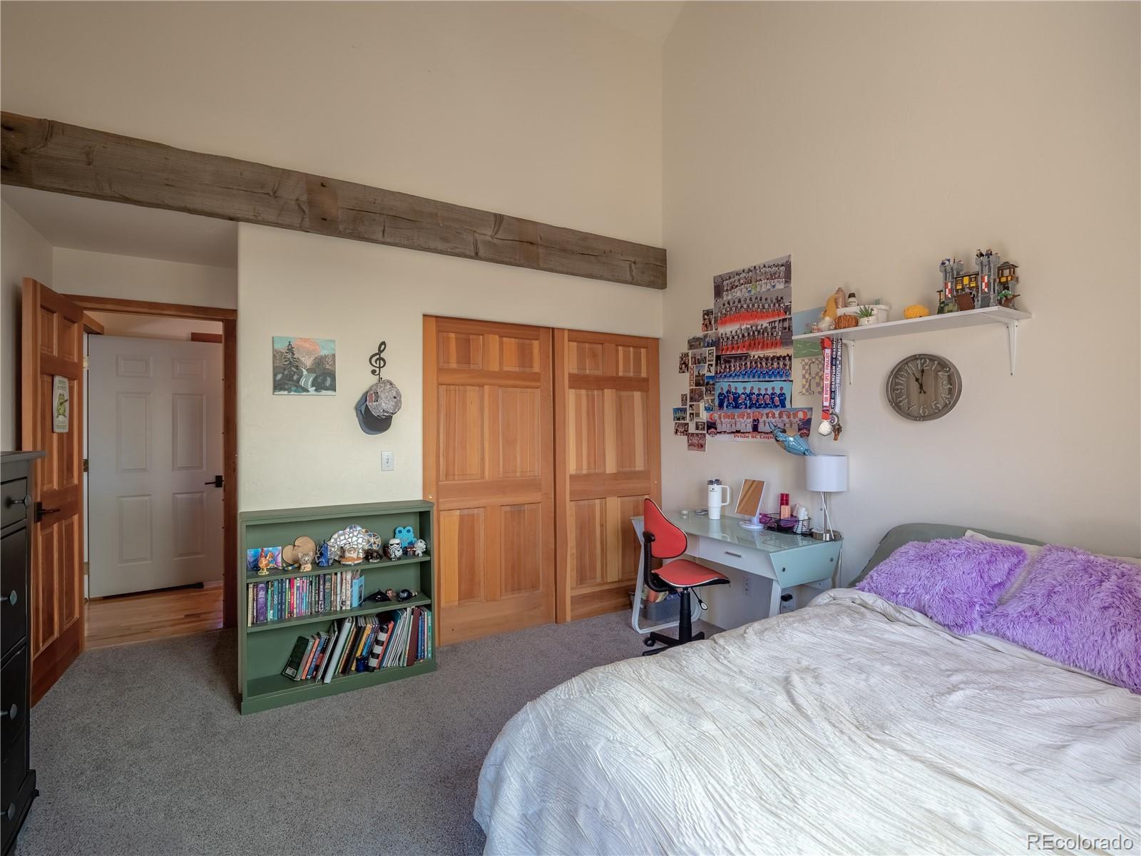 MLS Image #29 for 33515  mt harvard circle,buena vista, Colorado