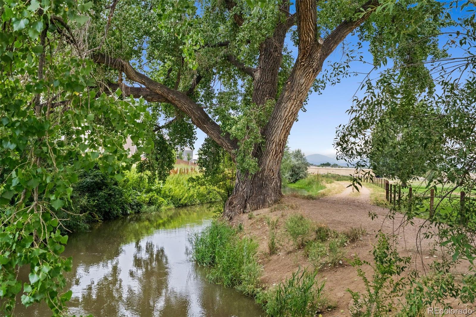 MLS Image #24 for 3769  summerwood way,johnstown, Colorado