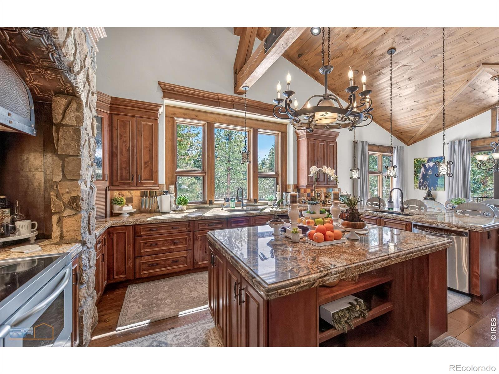 MLS Image #8 for 11981  spruce canyon circle,golden, Colorado