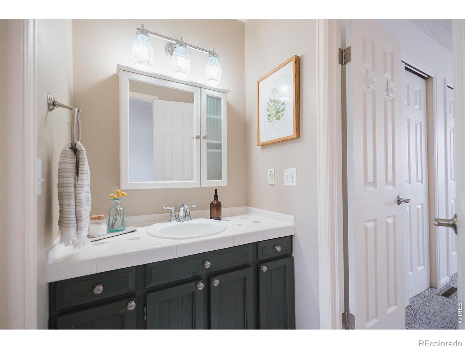 MLS Image #18 for 3025  regatta lane,fort collins, Colorado