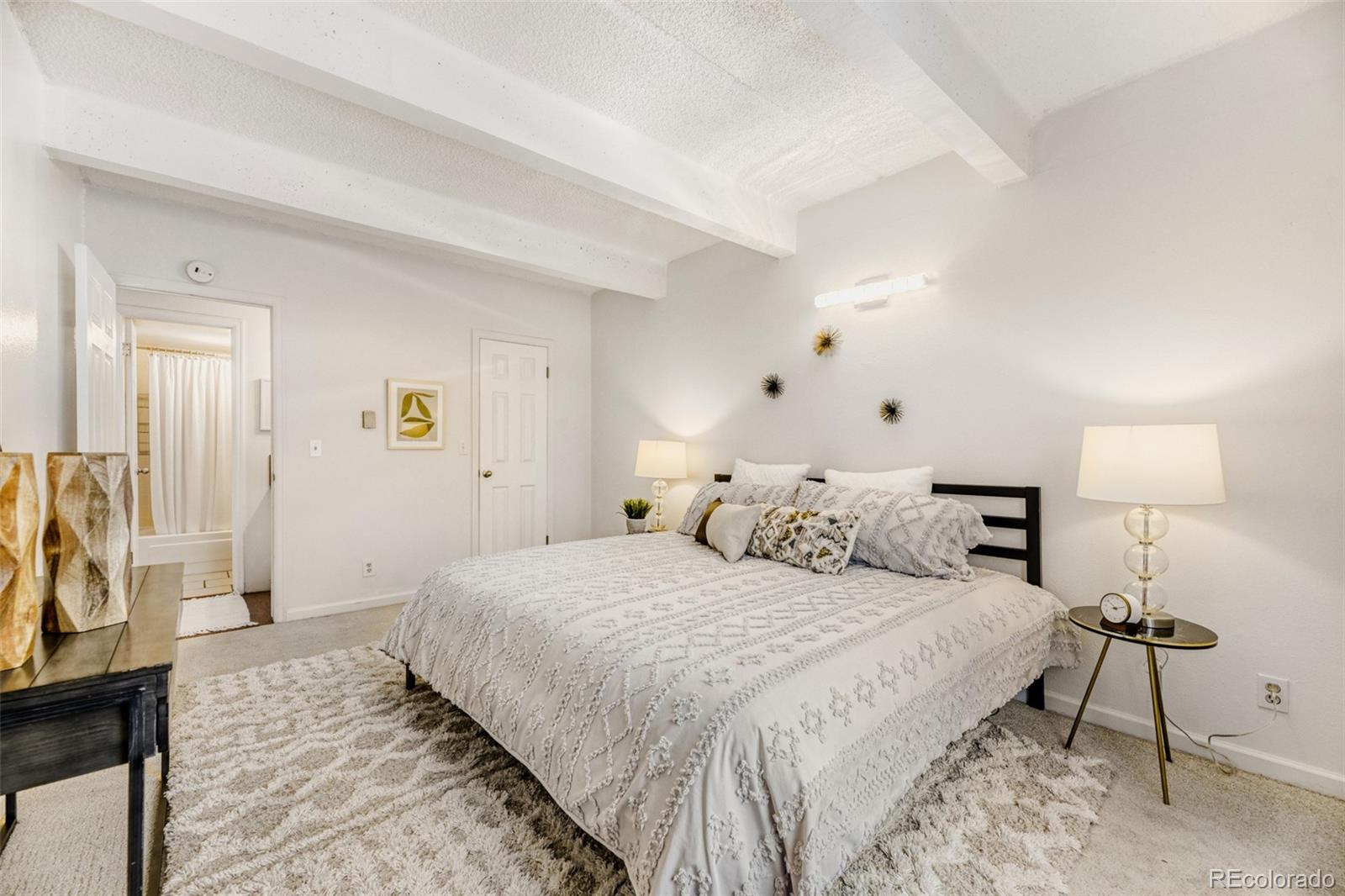 MLS Image #14 for 1265  race street 506,denver, Colorado