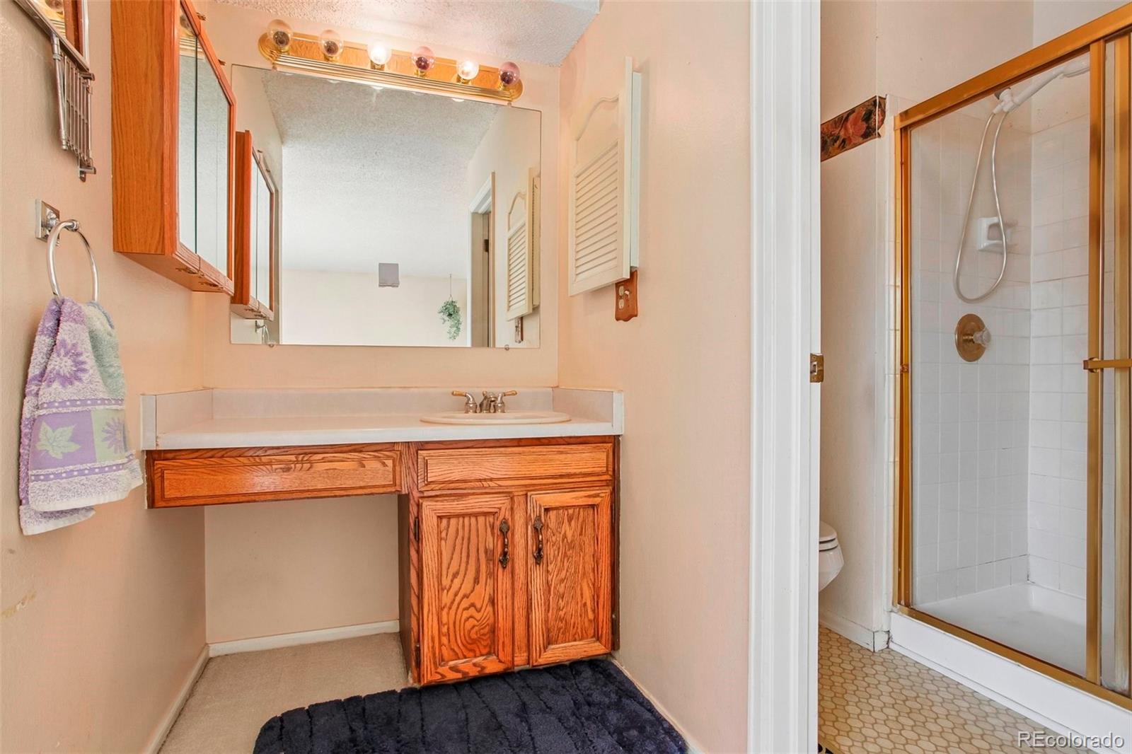 MLS Image #12 for 228  berthoud way,golden, Colorado