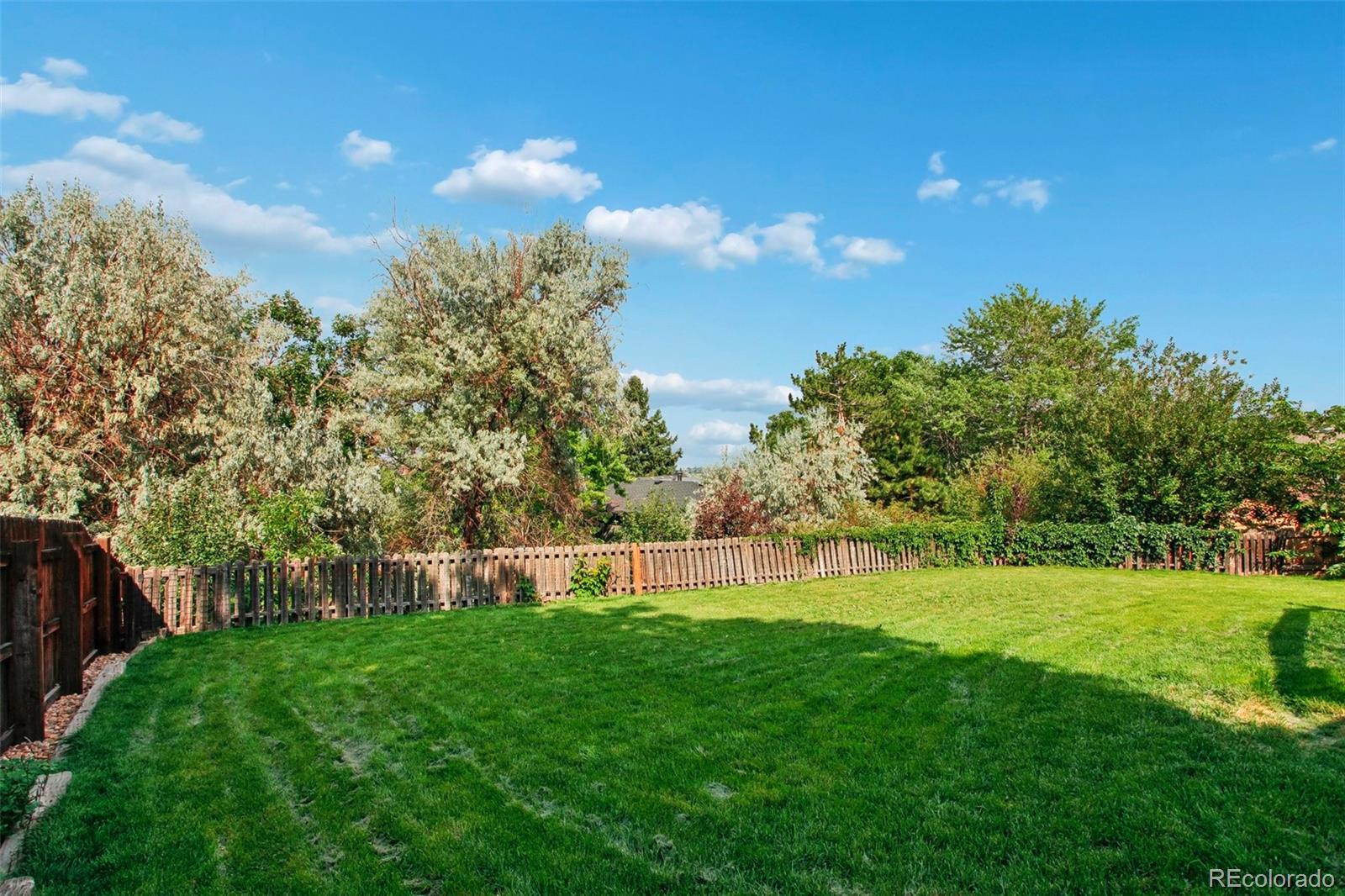 MLS Image #19 for 228  berthoud way,golden, Colorado