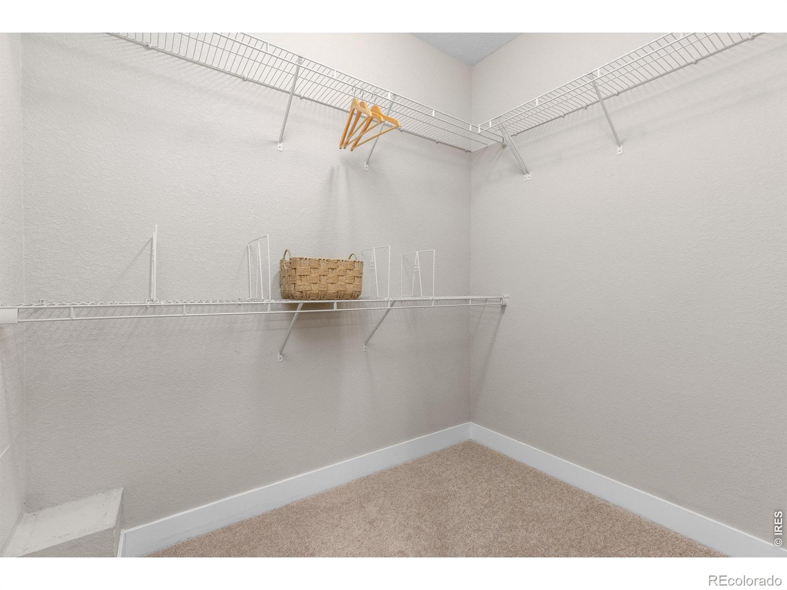 MLS Image #13 for 653  grandview mdws drive,longmont, Colorado