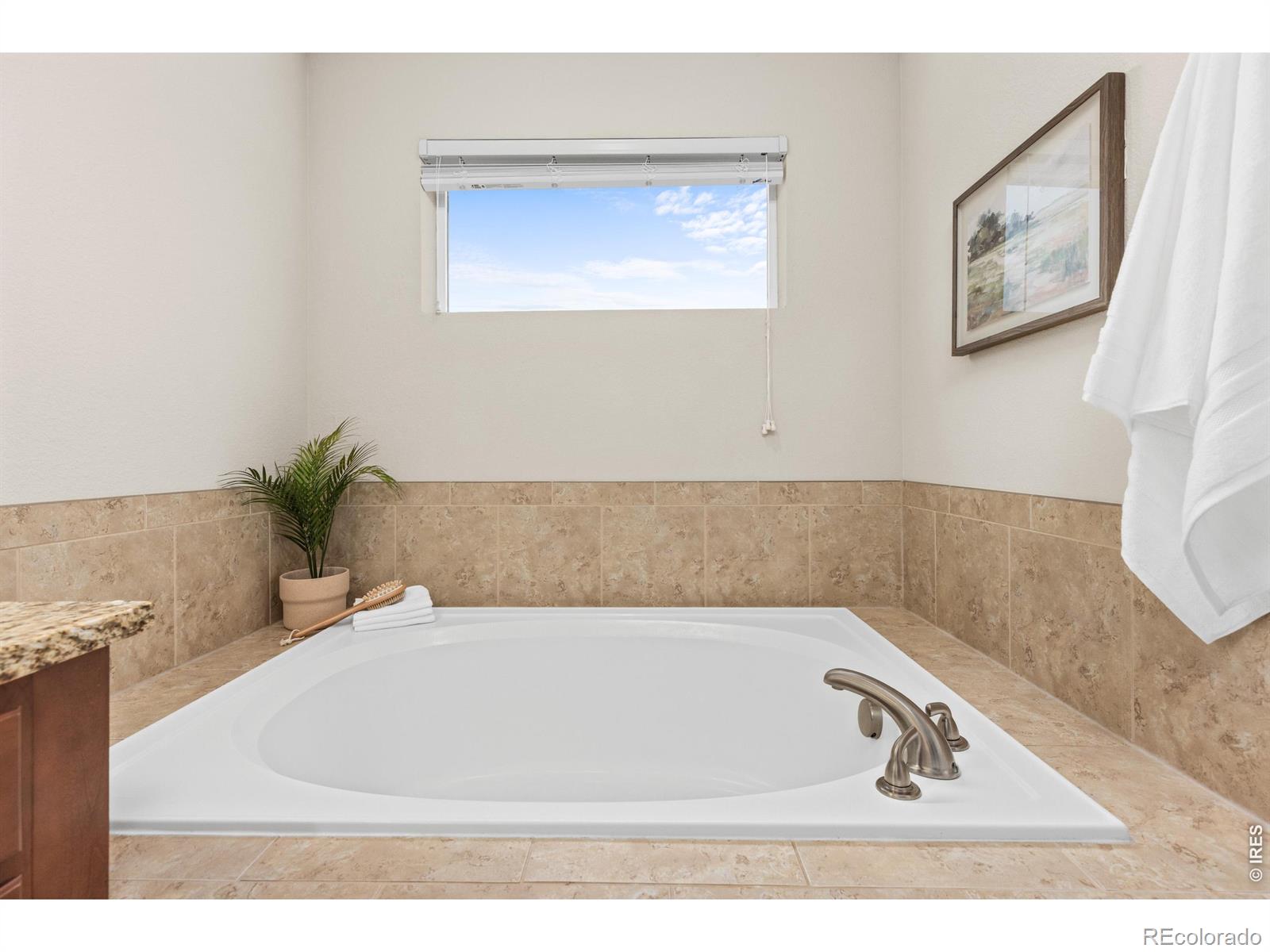 MLS Image #19 for 653  grandview mdws drive,longmont, Colorado