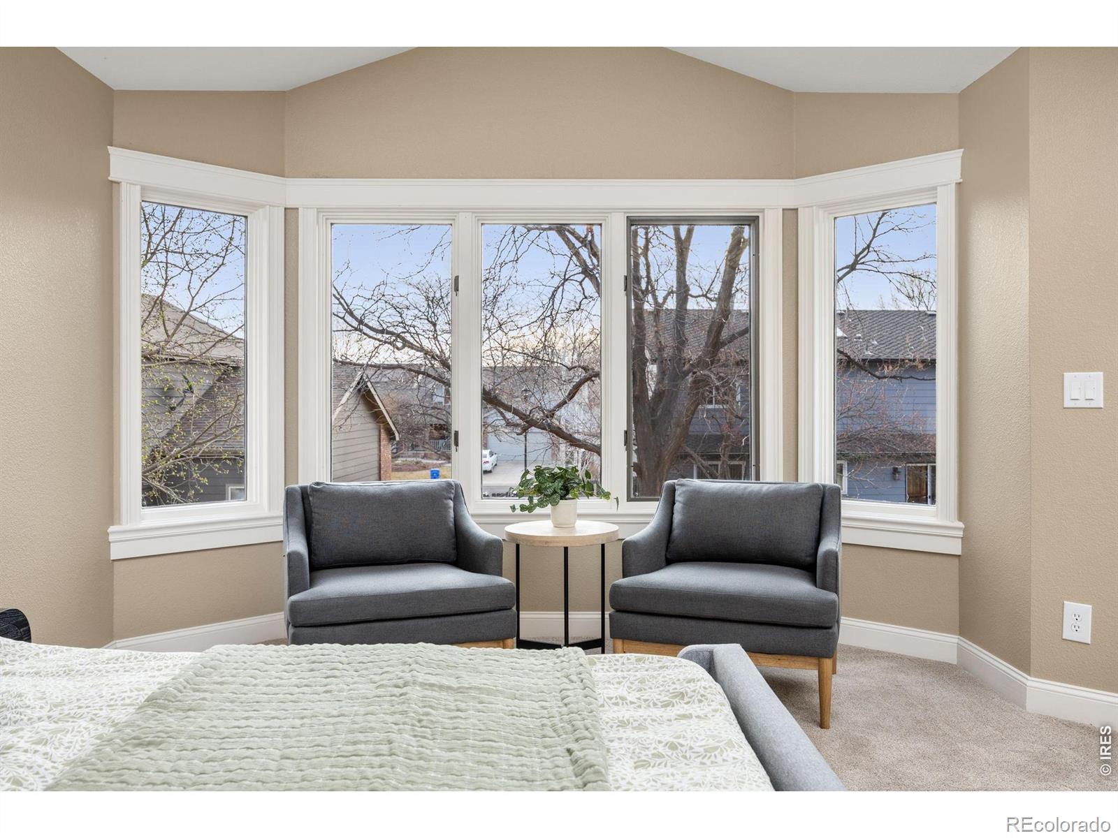 MLS Image #23 for 3742  rochdale drive,fort collins, Colorado