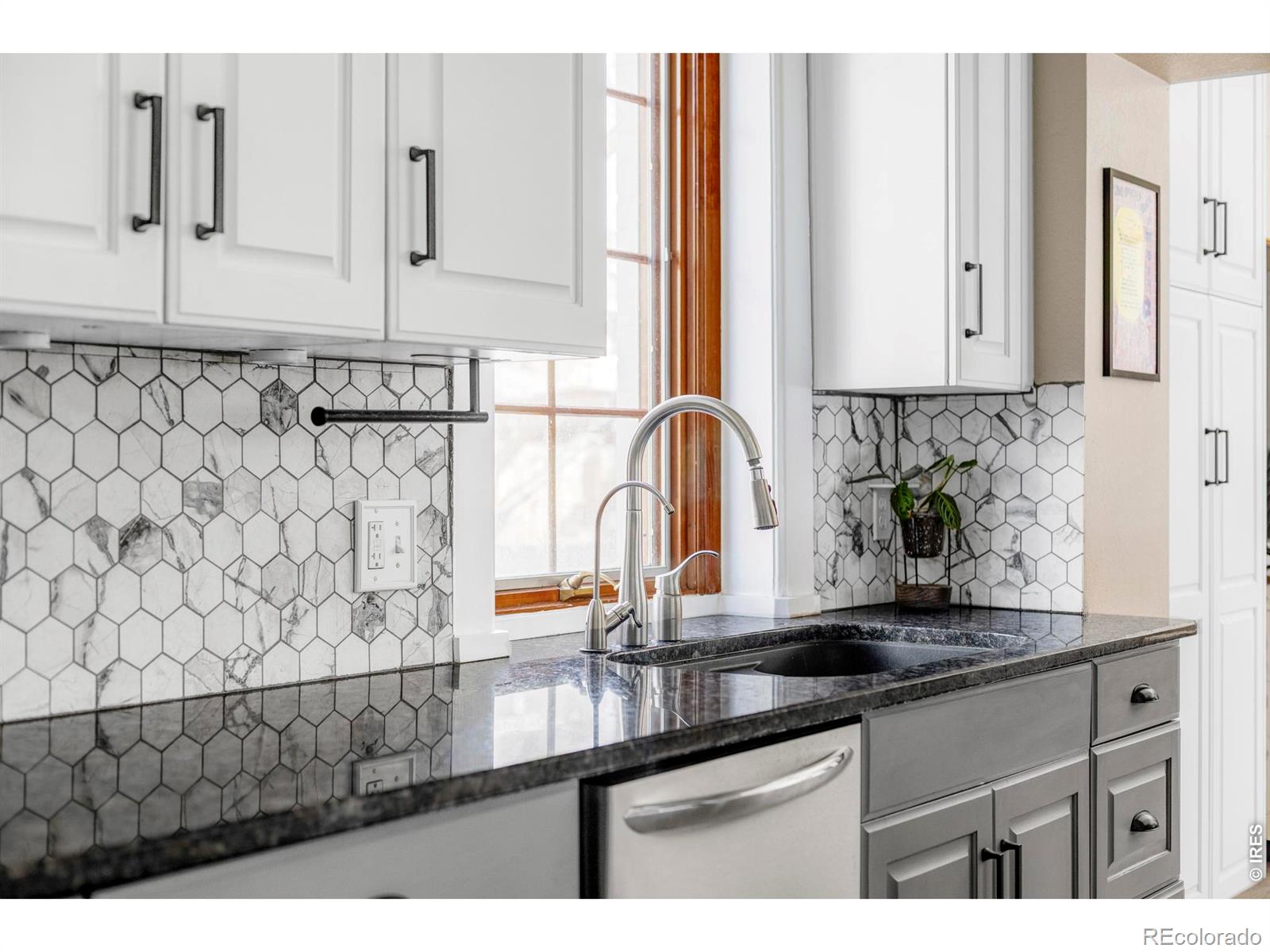 MLS Image #10 for 742 n downing street,denver, Colorado