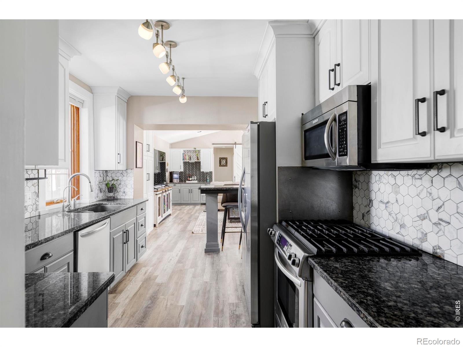 MLS Image #11 for 742 n downing street,denver, Colorado