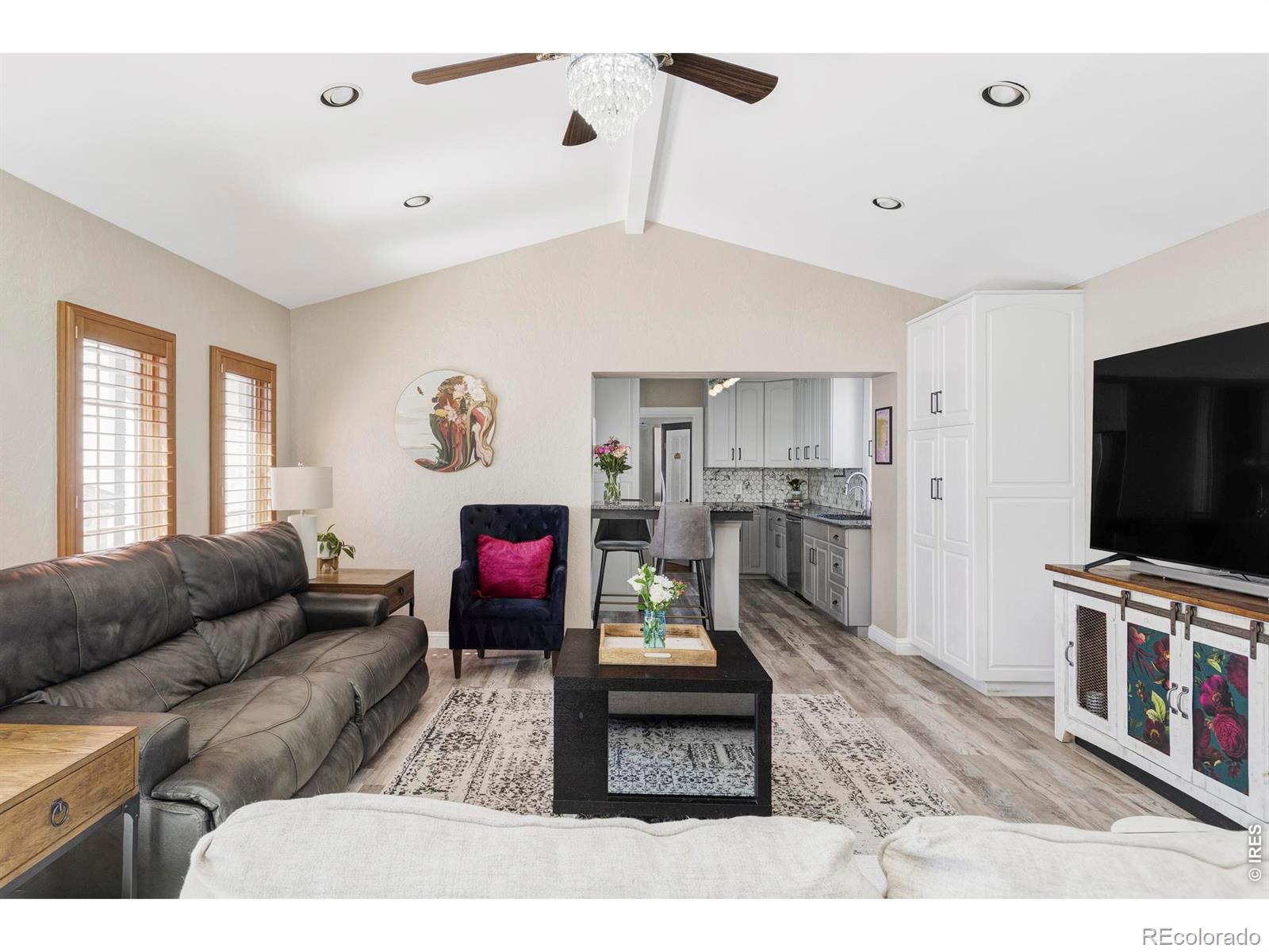 MLS Image #12 for 742 n downing street,denver, Colorado