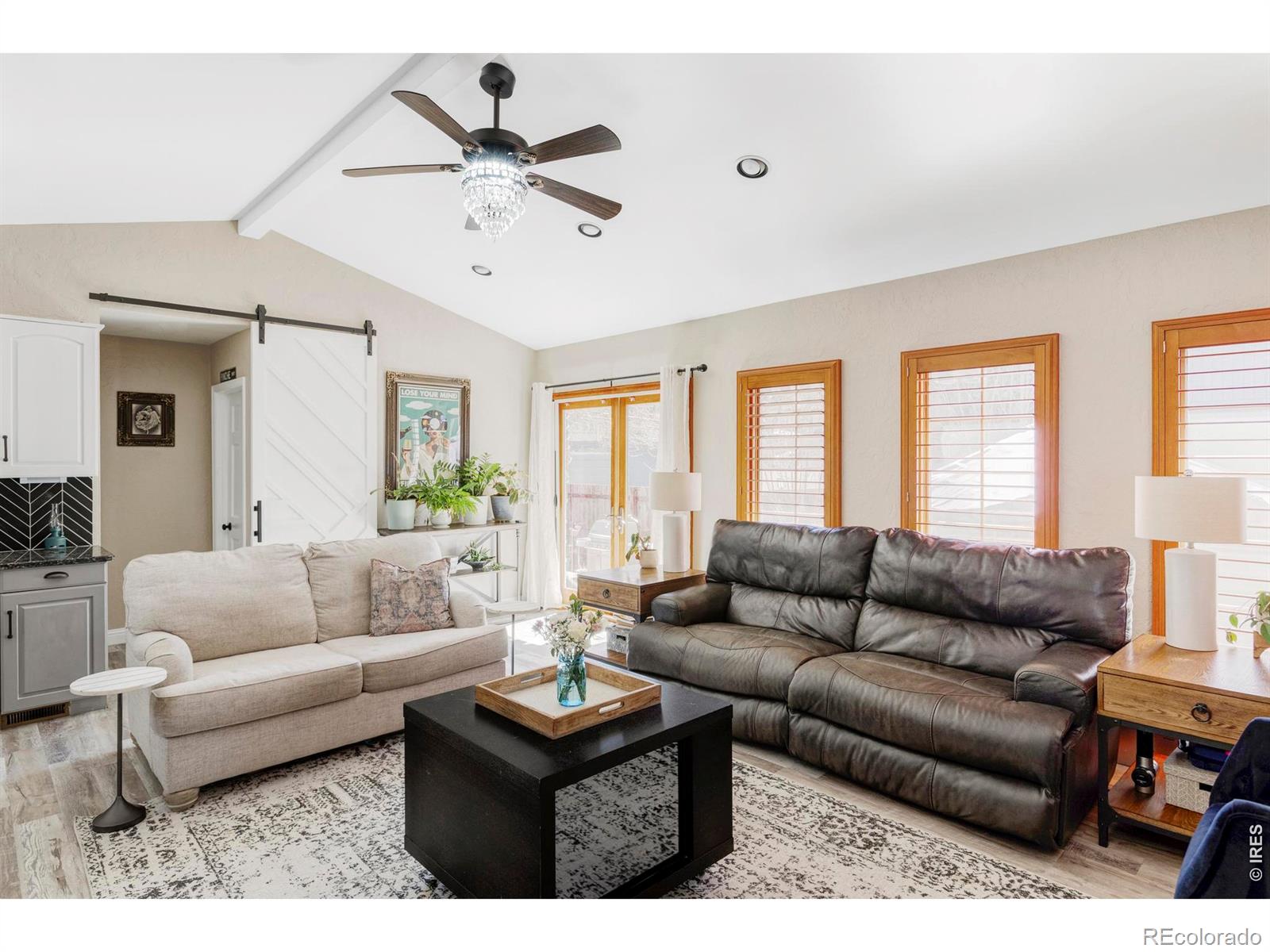 MLS Image #13 for 742 n downing street,denver, Colorado