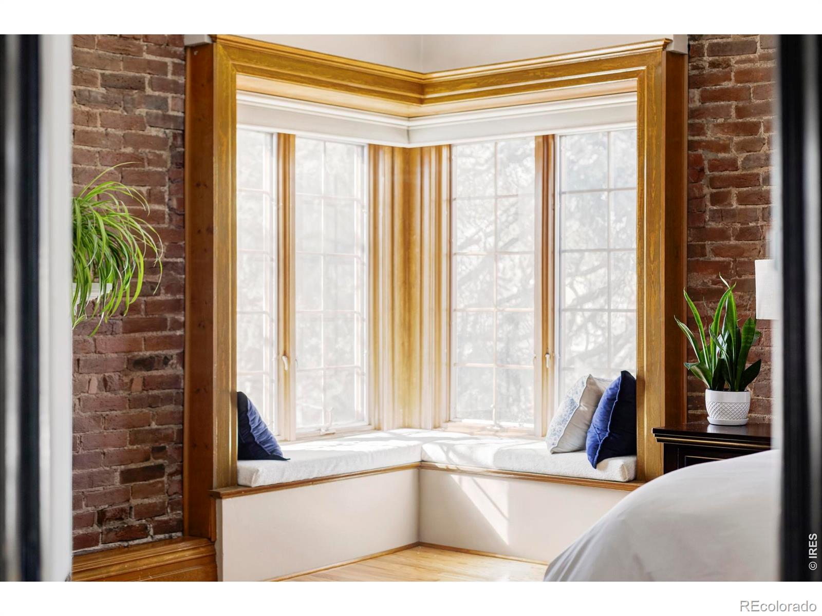 MLS Image #16 for 742 n downing street,denver, Colorado