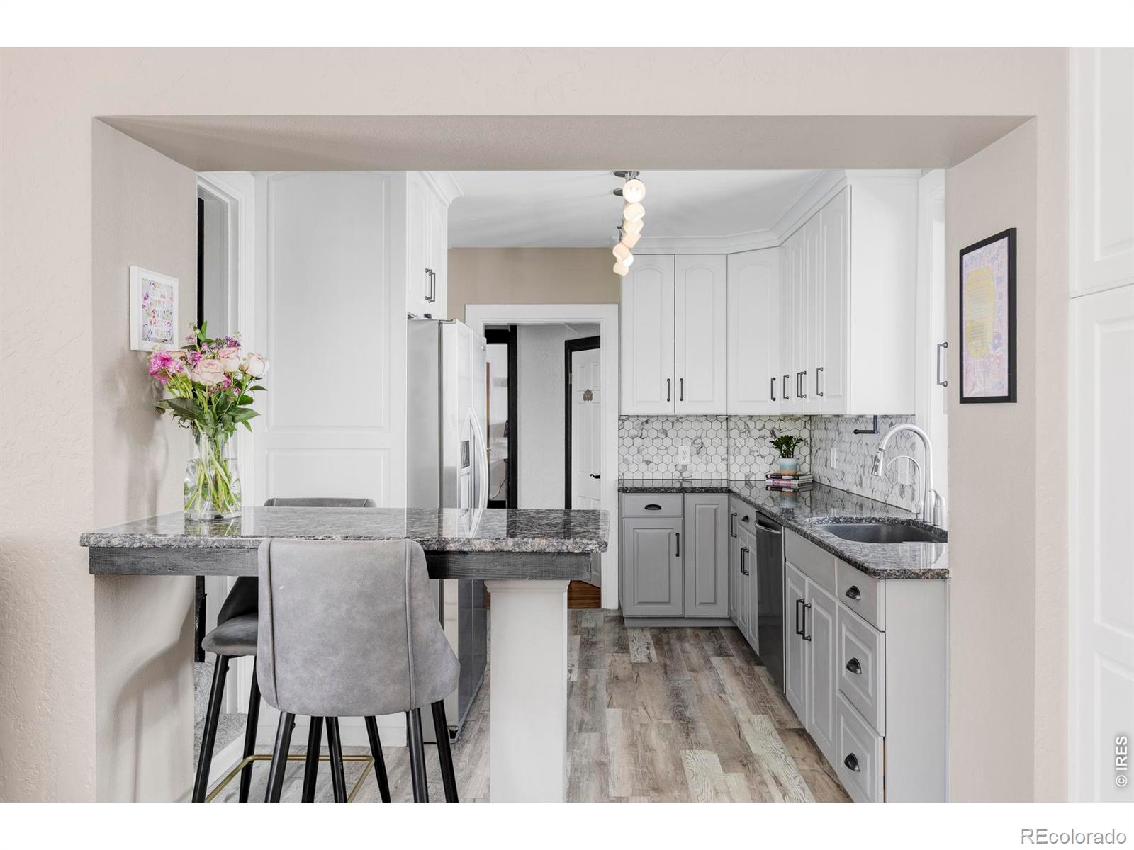 MLS Image #9 for 742 n downing street,denver, Colorado