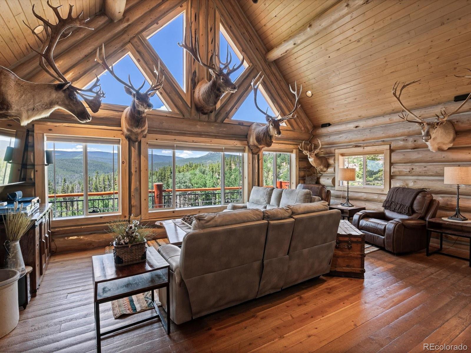 MLS Image #10 for 224  six elk court,red feather lakes, Colorado