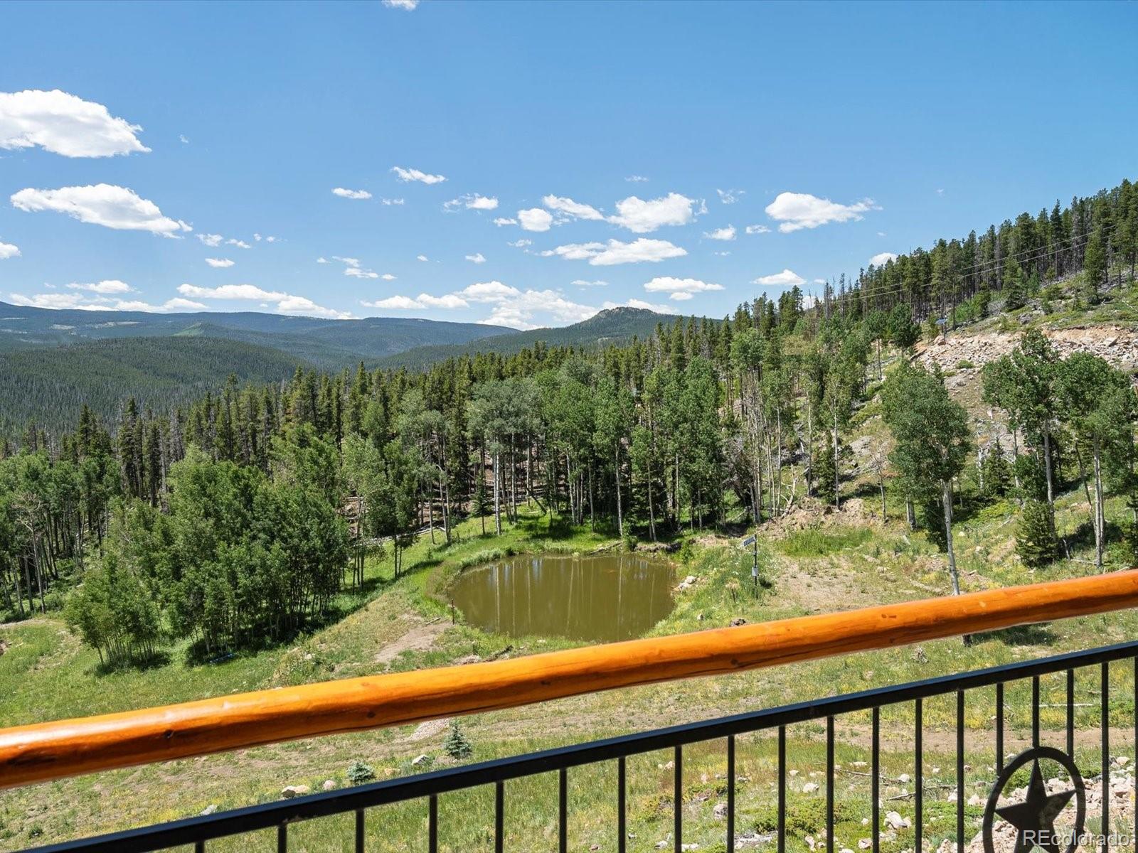 MLS Image #27 for 224  six elk court,red feather lakes, Colorado